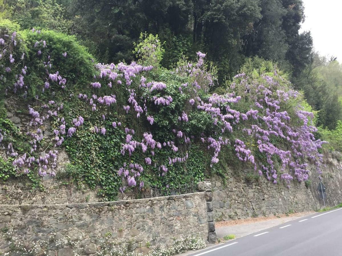 La Piccola Oasi Toscana Bagni di Lucca Exterior foto